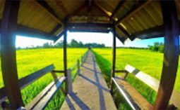 River Road อุบลราชธานี โขงเจียม River Road อุบลราชธานี โขงเจียม
