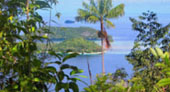 Escaped to Nature Raja Ampat by JC Tour Escaped to Nature Raja Ampat by JC Tour