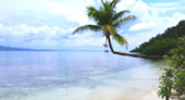 Escaped to Nature Raja Ampat by JC Tour Escaped to Nature Raja Ampat by JC Tour