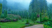 Sun Over Fog เชียงราย Sun Over Fog เชียงราย