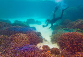 Sea Relax and Adventure Sea Relax and Adventure