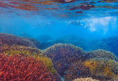 Sea Relax and Adventure Sea Relax and Adventure