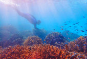 Sea Relax and Adventure Sea Relax and Adventure