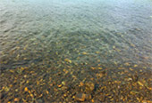 Picture 25 of Water.... เกาะหลีเป๊ะ 5วัน4คืน Picture 25 of Water.... เกาะหลีเป๊ะ 5วัน4คืน