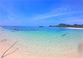 Picture 25 of Water.... เกาะหลีเป๊ะ 5วัน4คืน Picture 25 of Water.... เกาะหลีเป๊ะ 5วัน4คืน
