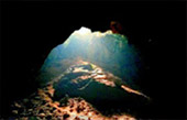 Picture 25 of Water.... เกาะหลีเป๊ะ 5วัน4คืน Picture 25 of Water.... เกาะหลีเป๊ะ 5วัน4คืน