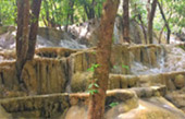 Picture 25 of Water.... เกาะหลีเป๊ะ 5วัน4คืน Picture 25 of Water.... เกาะหลีเป๊ะ 5วัน4คืน