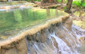 Picture 25 of Water.... เกาะหลีเป๊ะ 5วัน4คืน Picture 25 of Water.... เกาะหลีเป๊ะ 5วัน4คืน