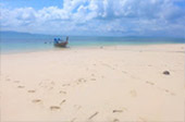 Picture 25 of Water.... เกาะหลีเป๊ะ 5วัน4คืน Picture 25 of Water.... เกาะหลีเป๊ะ 5วัน4คืน