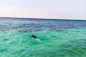 Picture 25 of Water.... เกาะหลีเป๊ะ 5วัน4คืน Picture 25 of Water.... เกาะหลีเป๊ะ 5วัน4คืน