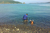 หาดใหญ่-หลีเป๊ะ: 4 วัน 3 คืน หาดใหญ่-หลีเป๊ะ: 4 วัน 3 คืน