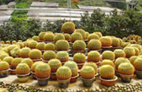 Malaysia: ธรรมชาติ วัฒนธรรม เทคโนโลยี Malaysia: ธรรมชาติ วัฒนธรรม เทคโนโลยี