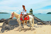 Existential เบตง ปีนัง หาดใหญ่ Existential เบตง ปีนัง หาดใหญ่