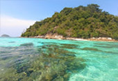 Clearliness เกาะหลีเป๊ะ Clearliness เกาะหลีเป๊ะ