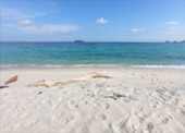 Clearliness เกาะหลีเป๊ะ Clearliness เกาะหลีเป๊ะ