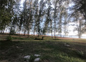 Clearliness เกาะหลีเป๊ะ Clearliness เกาะหลีเป๊ะ