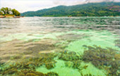 Clearliness เกาะหลีเป๊ะ Clearliness เกาะหลีเป๊ะ