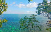 Clearliness เกาะหลีเป๊ะ Clearliness เกาะหลีเป๊ะ