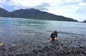 Clearliness เกาะหลีเป๊ะ Clearliness เกาะหลีเป๊ะ