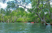 Earth Explore สำรวจโลก สตูล Earth Explore สำรวจโลก สตูล