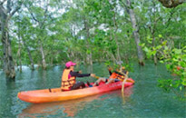 Earth Explore สำรวจโลก สตูล Earth Explore สำรวจโลก สตูล