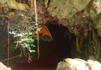 Earth Explore สำรวจโลก สตูล Earth Explore สำรวจโลก สตูล