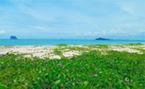 Earth Explore สำรวจโลก สตูล Earth Explore สำรวจโลก สตูล