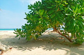 Earth Explore สำรวจโลก สตูล Earth Explore สำรวจโลก สตูล