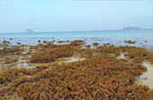 Earth Explore สำรวจโลก สตูล Earth Explore สำรวจโลก สตูล