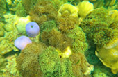 Earth Explore สำรวจโลก สตูล Earth Explore สำรวจโลก สตูล