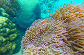 Earth Explore สำรวจโลก สตูล Earth Explore สำรวจโลก สตูล