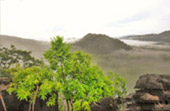 Earth Explore สำรวจโลก สตูล Earth Explore สำรวจโลก สตูล