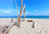 Fostering At: เกาะหลีเป๊ะ Fostering At: เกาะหลีเป๊ะ