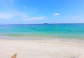 Fostering At: เกาะหลีเป๊ะ Fostering At: เกาะหลีเป๊ะ