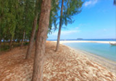 Fostering At: เกาะหลีเป๊ะ Fostering At: เกาะหลีเป๊ะ