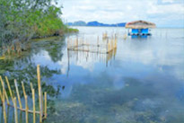 ทัวร์เกาะหมาก: 1 วัน Nature of Rural ทัวร์เกาะหมาก: 1 วัน Nature of Rural