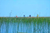 ทัวร์เกาะหมาก: 1 วัน Nature of Rural ทัวร์เกาะหมาก: 1 วัน Nature of Rural