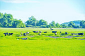 ทัวร์เกาะหมาก: 1 วัน Nature of Rural ทัวร์เกาะหมาก: 1 วัน Nature of Rural