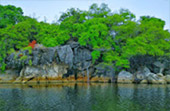 ทัวร์เกาะหมาก: 1 วัน Nature of Rural ทัวร์เกาะหมาก: 1 วัน Nature of Rural
