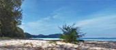 The Merverick: เกาะตะรุเตา 2วัน1คืน The Merverick: เกาะตะรุเตา 2วัน1คืน