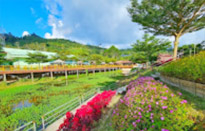 Nomad Land สุดชายแดนใต้ Nomad Land สุดชายแดนใต้