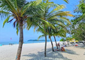 3 วัน 2 คืน ลังกาวี Oversea Holiday 3 วัน 2 คืน ลังกาวี Oversea Holiday