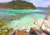 เกาะหลีเป๊ะ: Profound เกาะหลีเป๊ะ: Profound