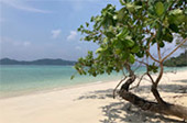 Quicksand Beach: หลีเป๊ะ 3วัน2คืน Quicksand Beach: หลีเป๊ะ 3วัน2คืน