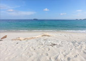 Quicksand Beach: หลีเป๊ะ 3วัน2คืน Quicksand Beach: หลีเป๊ะ 3วัน2คืน