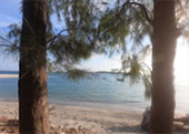 Quicksand Beach: หลีเป๊ะ 3วัน2คืน Quicksand Beach: หลีเป๊ะ 3วัน2คืน