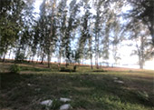 Quicksand Beach: หลีเป๊ะ 3วัน2คืน Quicksand Beach: หลีเป๊ะ 3วัน2คืน