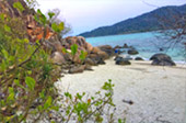Quicksand Beach: หลีเป๊ะ 3วัน2คืน Quicksand Beach: หลีเป๊ะ 3วัน2คืน