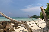 Quicksand Beach: หลีเป๊ะ 3วัน2คืน Quicksand Beach: หลีเป๊ะ 3วัน2คืน