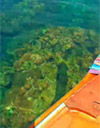Rocks Around: เกาะหลีเป๊ะ Rocks Around: เกาะหลีเป๊ะ